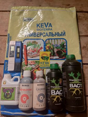 IMG_20250112_050145.jpg