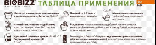 IMG_0462.jpeg