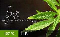THC__KZGEsMp5VbxIyGJM.jpg