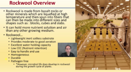 rockwool1.png