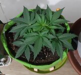 20260120_065753.jpg