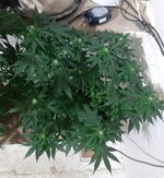20260123_065651.jpg
