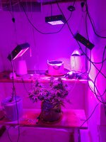 20260125_082404.jpg