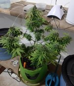 20260126_064721.jpg