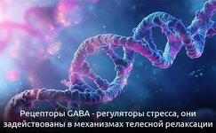 gaba-dlya-bespokojnogo-uma__dMJa80rRLD4K5JS0.jpg