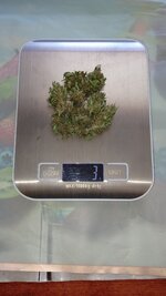 1000131203.jpg