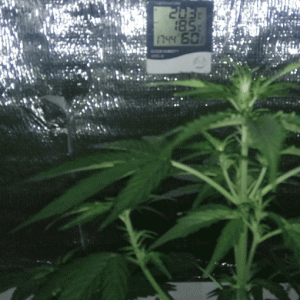 20220910_181617.gif