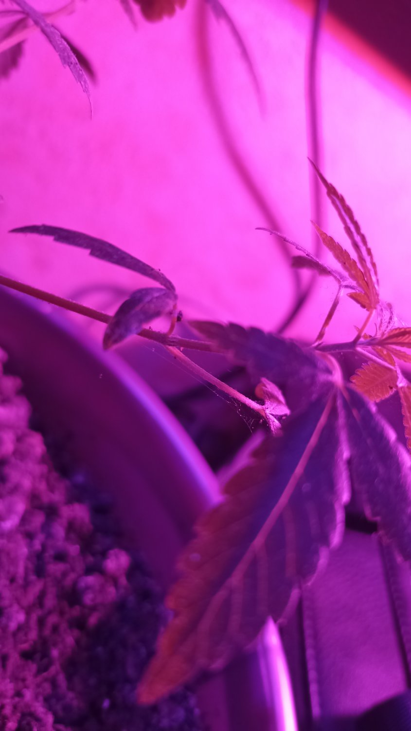 IMG_20220922_222937.jpg