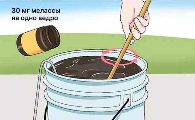 Меласса