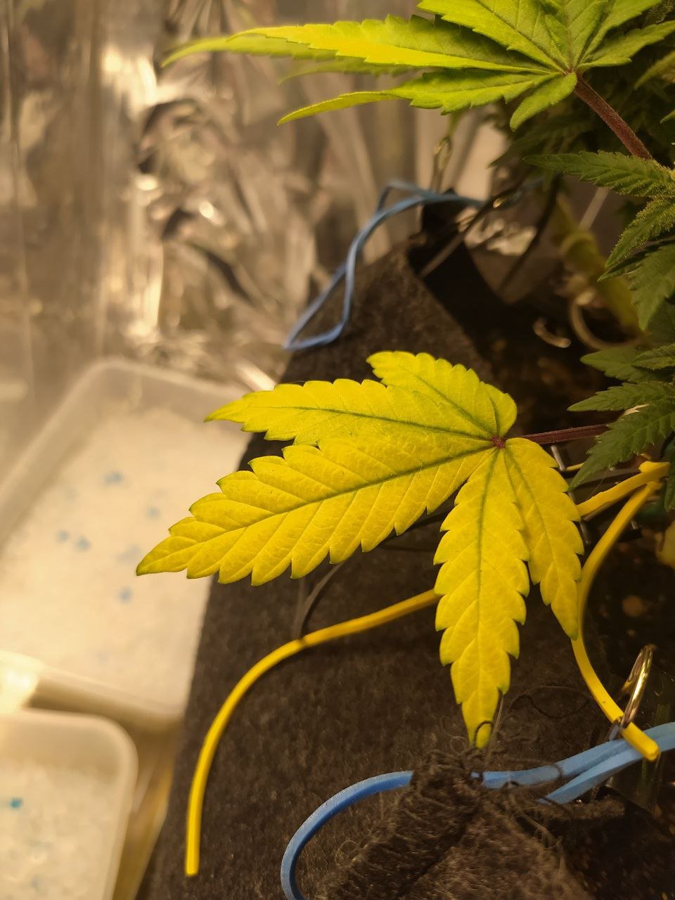 353 — копия.jpg