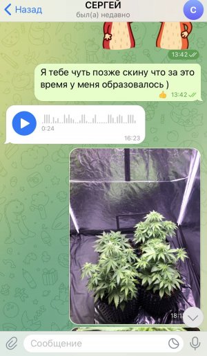 32B69A36-4D77-4D51-8C89-1BEDA3E9E3B8.jpeg