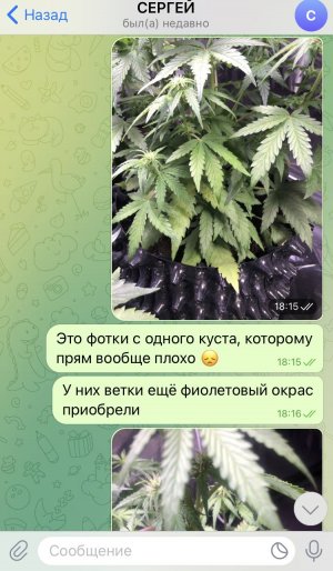 3AD32607-6864-4EE2-823F-7558F9DB2644.jpeg