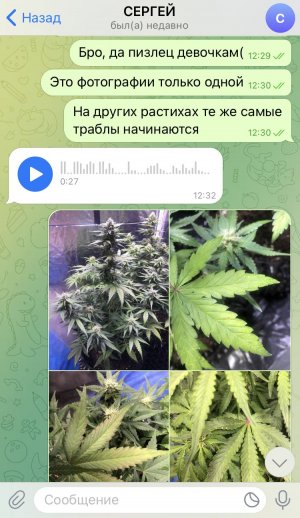 4A1AB5FC-0FE7-4995-AA10-824F6367FE47.jpeg