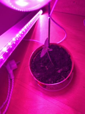52042213-6F03-4B26-88AF-75E04358E132.jpeg