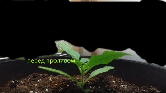 18.png