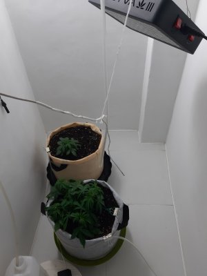 20230417_113825.jpg