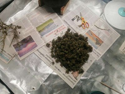 IMG_20230621_111055.cleaned.jpg