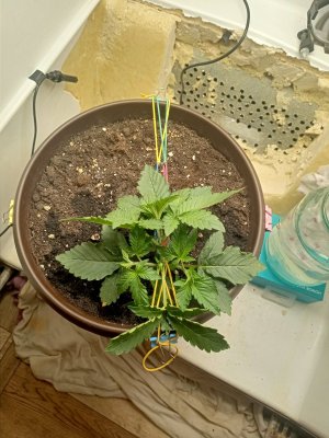 IMG20230821081327.jpg