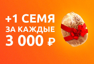 1700472613821.png