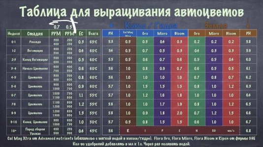 75CFAEAA-3727-4D9A-A4F6-A4E8650F4406.jpeg