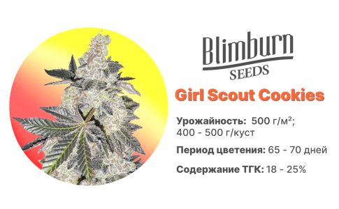 Girl Scout Cookies Girl Scout Cookies