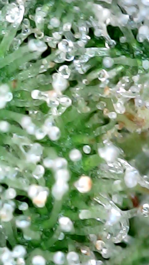 2024_05_12_10_39_04_610.png